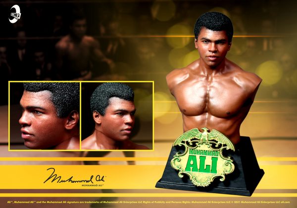 1:6 Scale Collectible Bust - Image 4